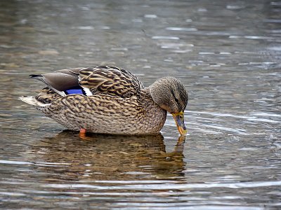 Katčino zkoumání....