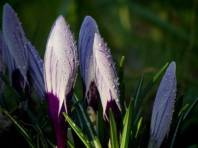 Jen se tak přitulit na sluníčku....