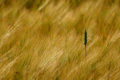 Tu jsem asi špatně.