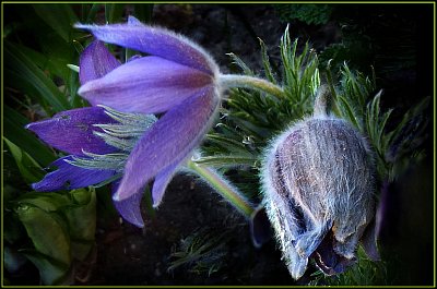 Ten svetr si nesvlíkej, ještě bude zima