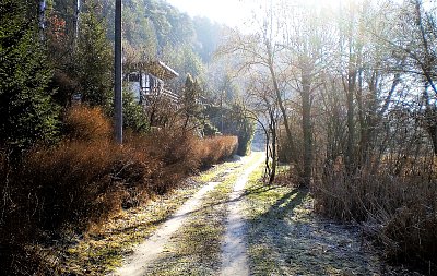 Na kole v mlžném ranním oparu