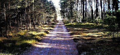 Rovinka, pro kolo jak stvořená...