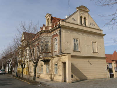 Regionální muzeum K. A. Polánka Křížova vila