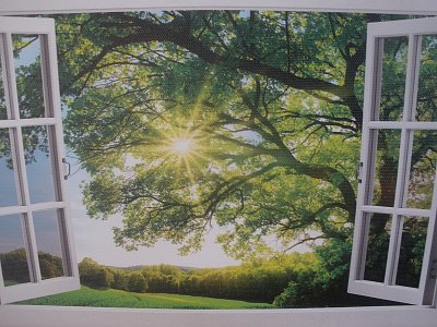 Jaro se dívá do oken