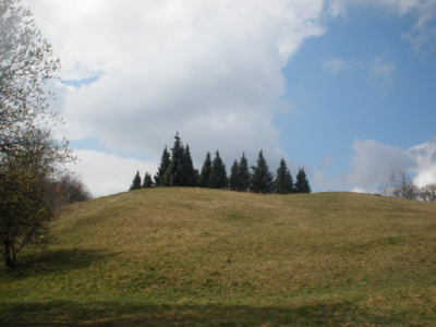 To jsou malé kopečky a na nich rostou stromečky.