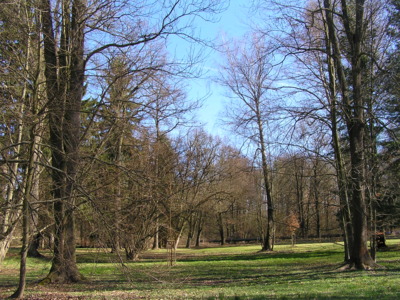 Příroda se probudila k životu.