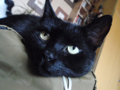 Takhle krásný jsem opravdu, ne jako na včerejší fotce :-)