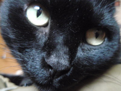 Nejsem žádný anděl!