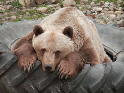 Kdo si se mnou půjde hrát?  V zámku v Zákupech