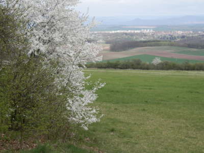 Nejen k velikonocům vám přeji krásný pohled na svět, jako ten můj z Řípu
