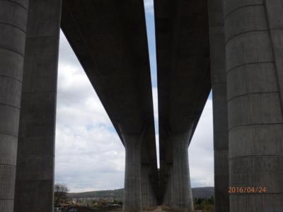 Nohy mostu nebo slona