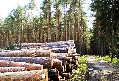 Posílám s trasy Ralskem