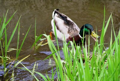 Počkej přece,já Ti vše vysvětlím!!!