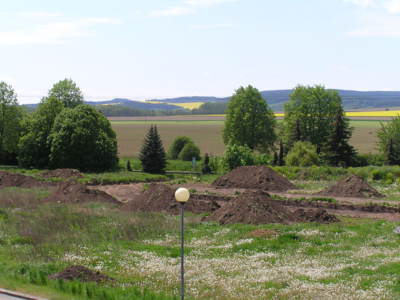 Krtečkovy kopečky na louce.