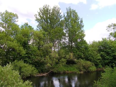 Na druhém břehu ....