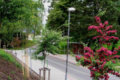 Autobusová zastávka.