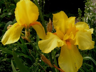 Ve dvou je nám líp.