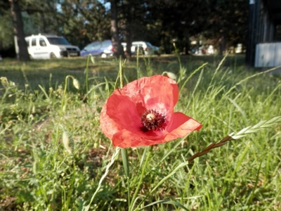 Pro mě malý sídlištní zázrak