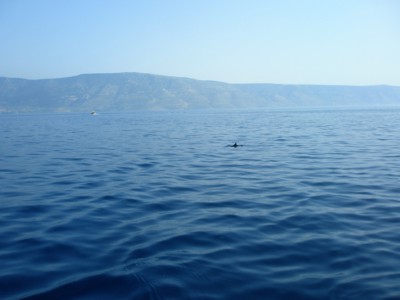 ...trochu mne polekal....))