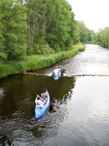 Vodáci na Teplé Vltavě pod Lenorou