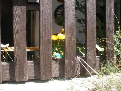 Zvědavé hlavičky.