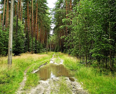 Neboj, to objedem...