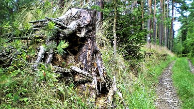 Kdo tam asi bydlí ?