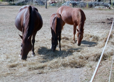 Bude nás o jednoho víc