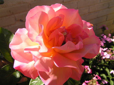 Jsem sama v záři slunce.