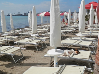 Poslední návštěvník