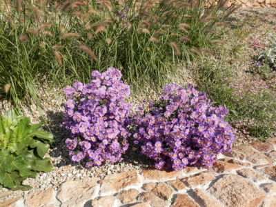 Nám se ještě nechce odkvést