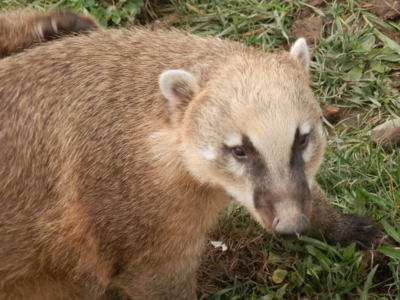 Zoo Tábor v říjnu