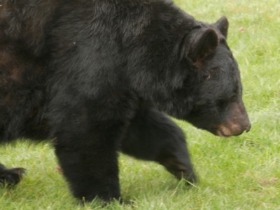 Zoo Tábor v říjnu