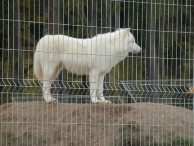 Zoo Tábor v říjnu