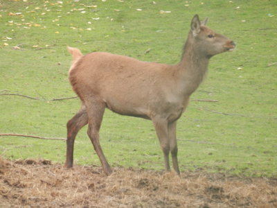 Zoo Tábor v říjnu