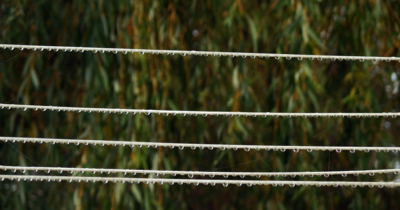 Korálky z ranní rosy