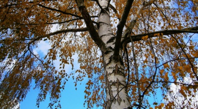 Užívám si podzimního sluníčka.....