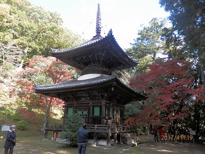 Japonský ostrov Šikoku v purpurové barvě podzimu