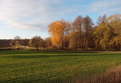 Vycházka Tvoršovice - Dlouhá Lhota