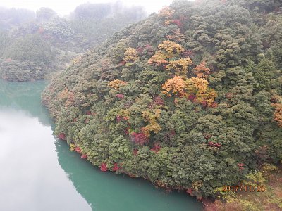 Japonský ostrov Šikoku v purpurové barvě podzimu