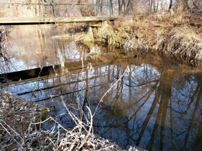 Potůček dnes po ránu.....