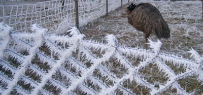 Toto zebe, toto zebe.....bojím,bojím!!!!!!!