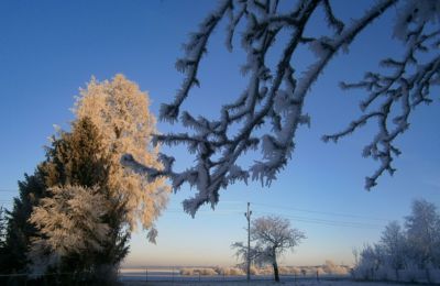 Jeden krásný zimní den......