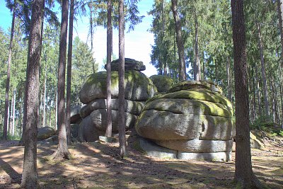 Kámen v lese u Žihlí