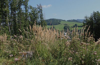 Rusava v Hostýnských horách