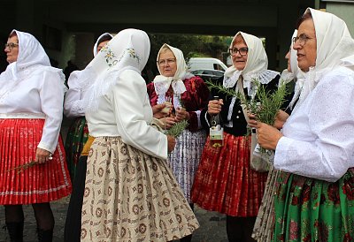 Rozdáváme rozmarýn proti nevolnosti