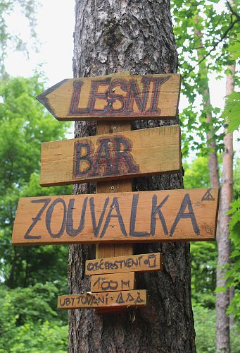 Lesní bar