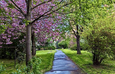 Po večerním dešti