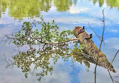 Zasloužený odpočinek