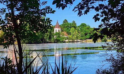 Na Hamerském rybníku